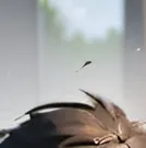 chat with ai character: ADHD