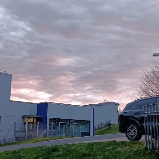 creator that_silly_boy's avatar