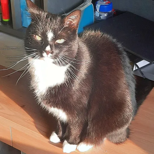 creator Call me Maya's avatar