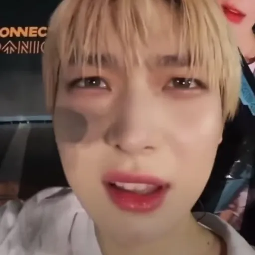 creator talkior,y/n's avatar