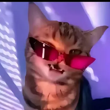 creator Dailyyosh's avatar