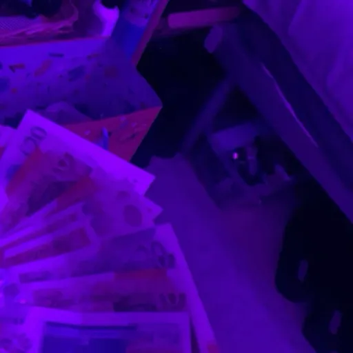 creator 🦦🍪P's avatar