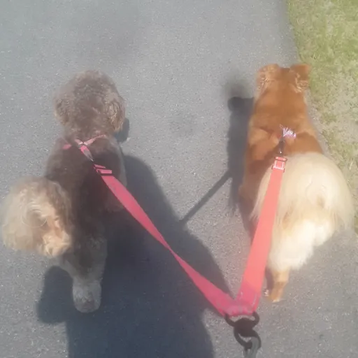 creator simp3984's avatar