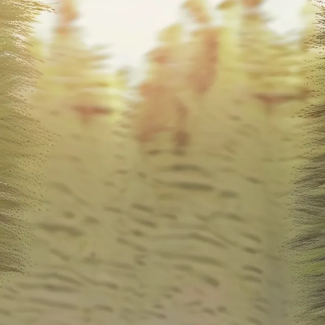 chat with ai character: your AI Girlfriend