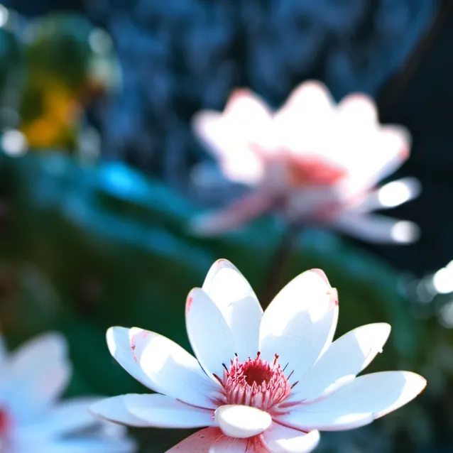 chat with ai character: among us 