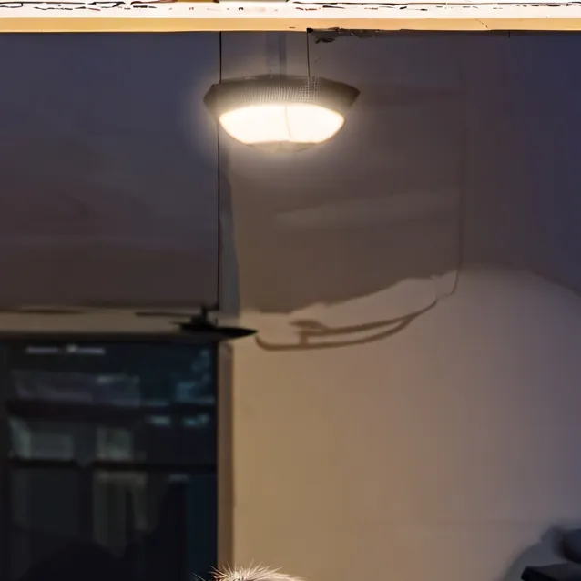 chat with ai character: Bully