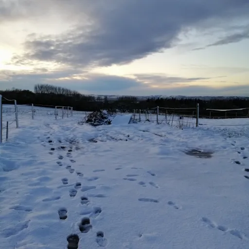 creator Theos wifey😍😍's avatar