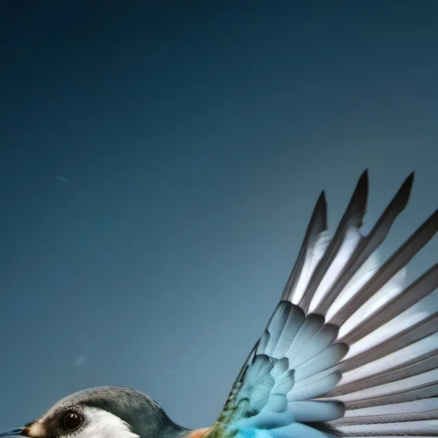 chat with ai character: ABC