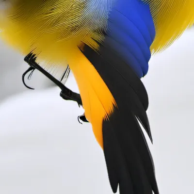 chat with ai character: Buddy