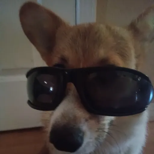 creator kavina's avatar