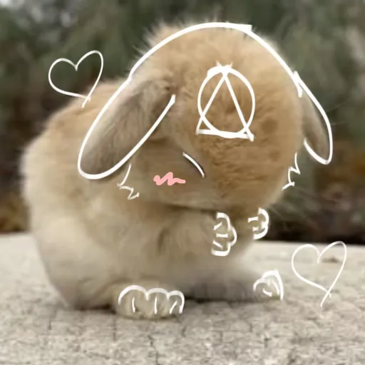 creator 🐈☆!river!☆🐈's avatar