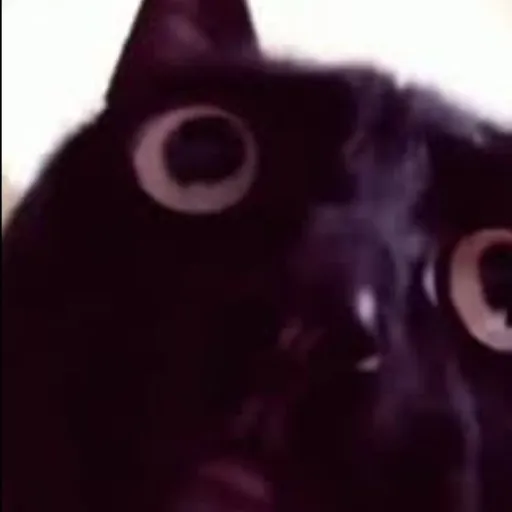 creator ROACHEATERMUHAHA's avatar