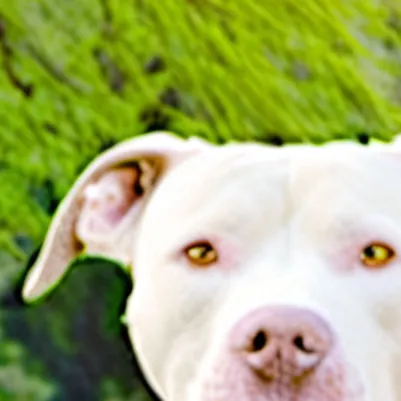 chat with ai character: Molly