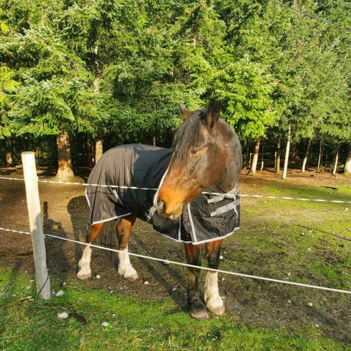 creator outer Banks lover🙃's avatar