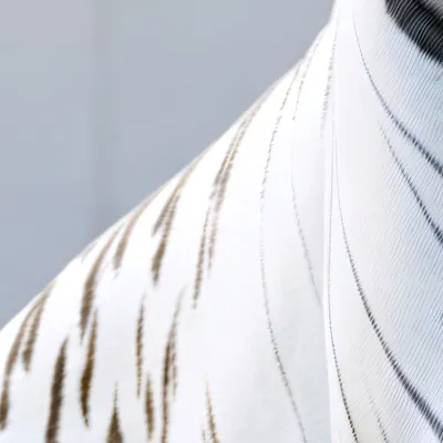 chat with ai character: The Tiger boys