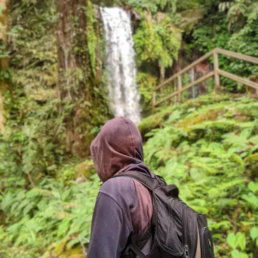 talkie's author avatar