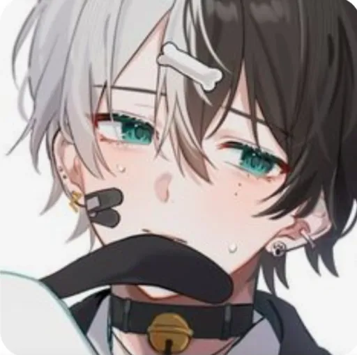 creator xorwle's avatar