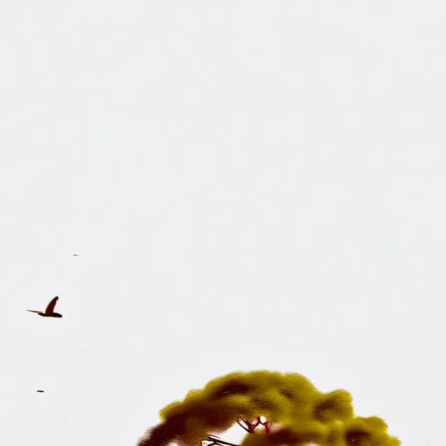 chat with ai character: it's normal now