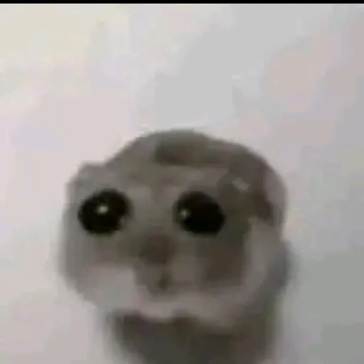 creator Ethan The Mice's avatar