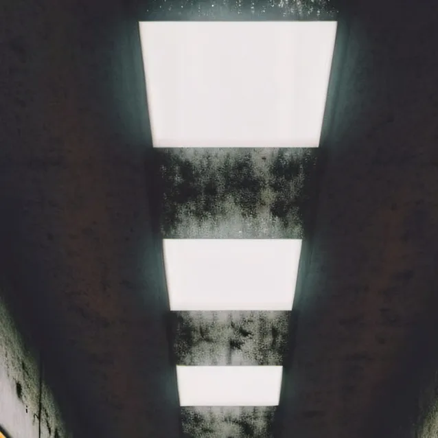 chat with ai character: CICC P2