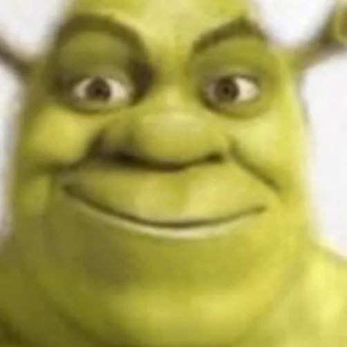 creator shrek REAL NO 🦠's avatar