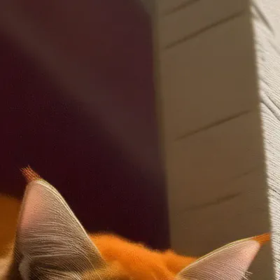 chat with ai character: Marley