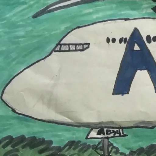 creator Somerandomplane's avatar