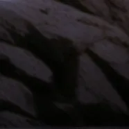 chat with ai character: Gay Quiz