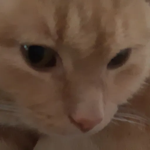 creator Talkior-elmFUVw2's avatar