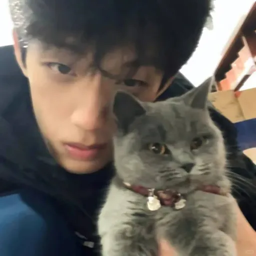 creator Calixtoaero's avatar