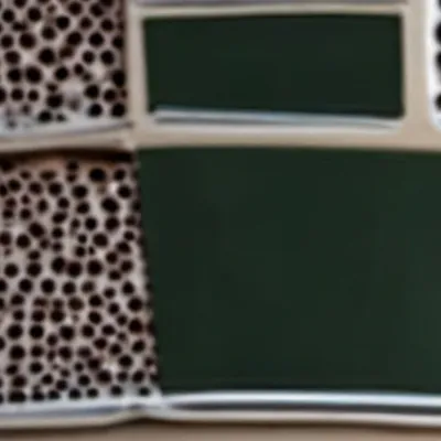 chat with ai character: Floppa girl cat