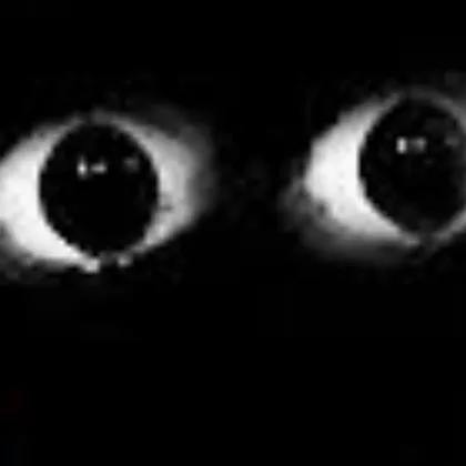 creator I'm watching you..'s avatar