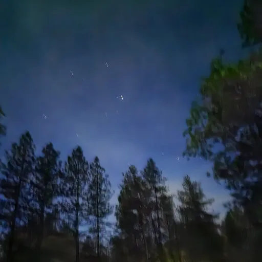 creator Dr.Plague's avatar