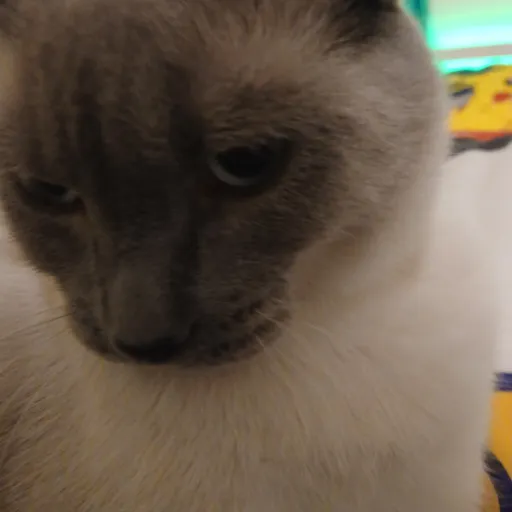 creator Mr.frank the cat's avatar