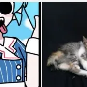 creator miku and rainbow's avatar