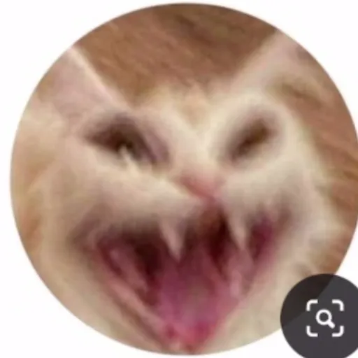 creator ///gecko\\'s avatar