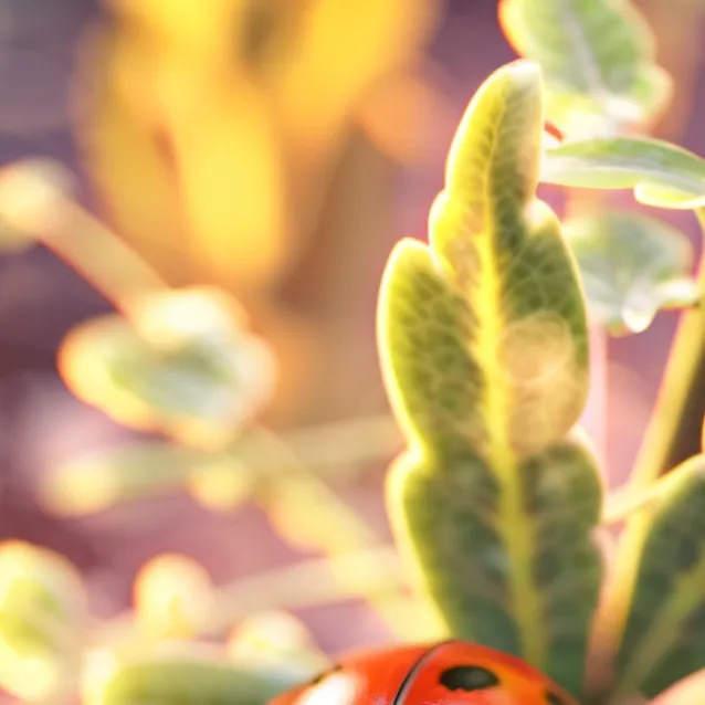 chat with ai character: lady bug