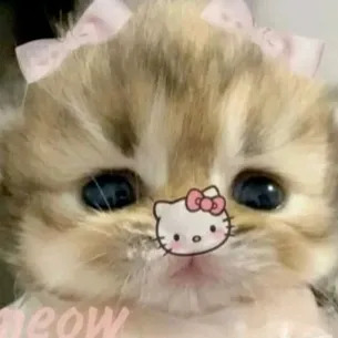 creator 🖤_Felix_🖤's avatar