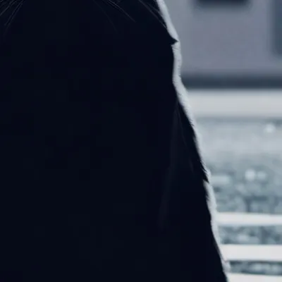 chat with ai character: Black cat