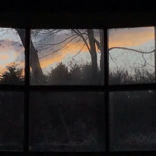 creator Kiara-on top!!!'s avatar