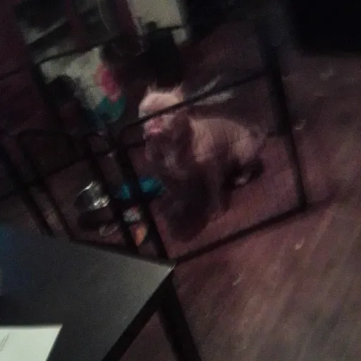 creator elliyahslays's avatar