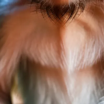 chat with ai character: 🦧🦍🐒monkey