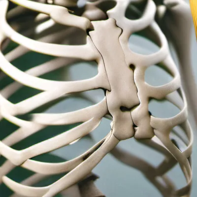 chat with ai character: Greg