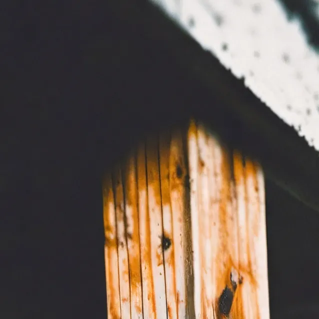 chat with ai character: Kyla