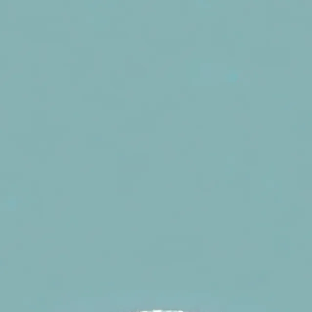 chat with ai character: one piece