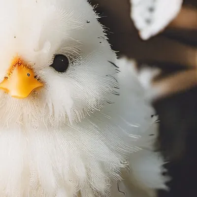 chat with ai character: New born