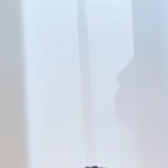 chat with ai character: trayshon