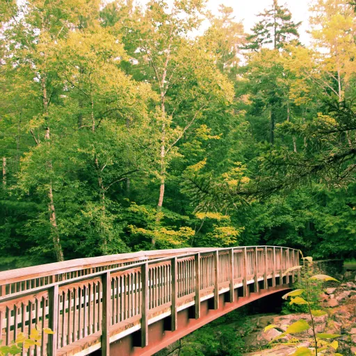 creator `Nobody's avatar