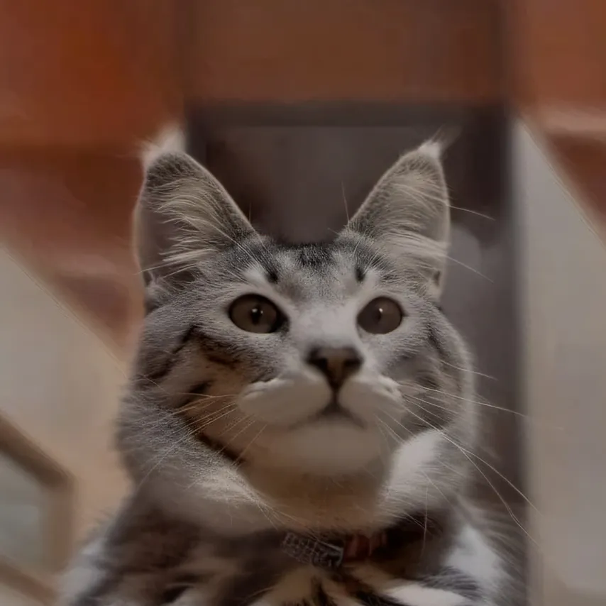 chat with ai character: Regretevator 