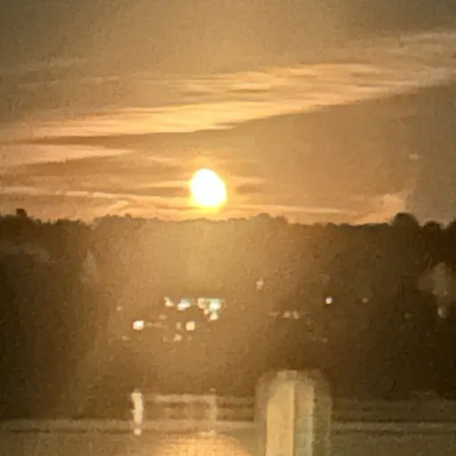 creator They them's avatar